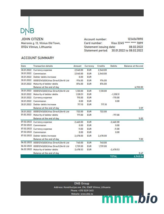 Szablon wyciągu bankowego Litwa DNB (Litva) w programie Word i PDF